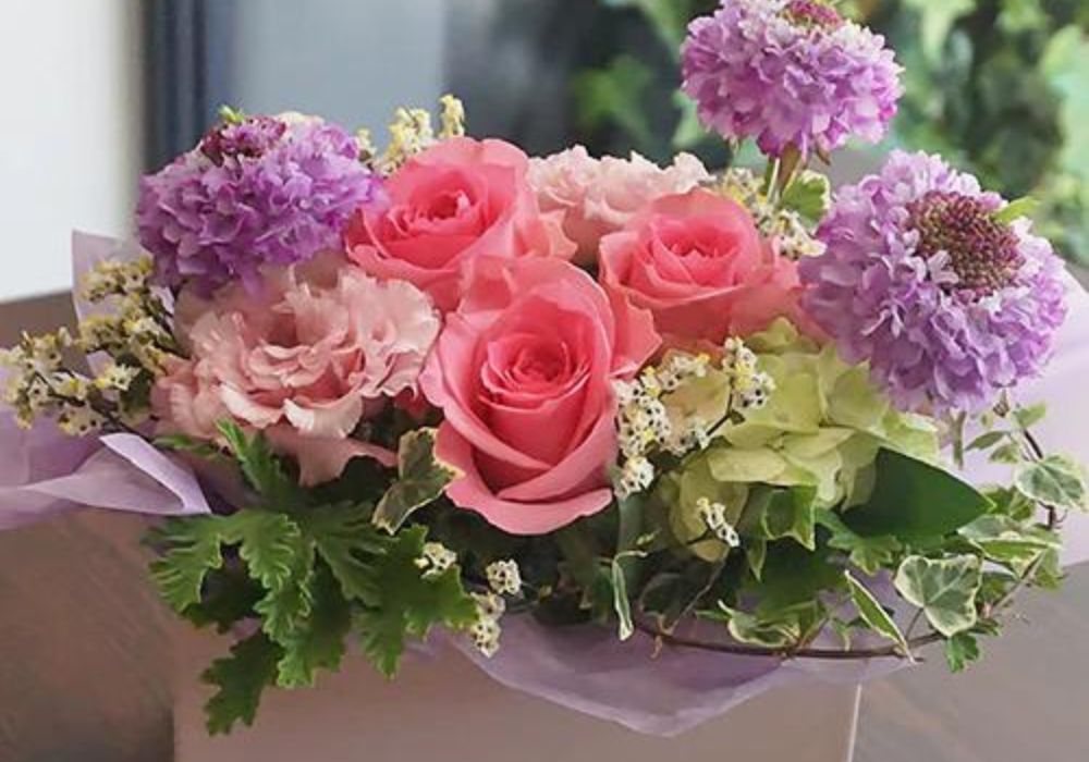 再出発の花。