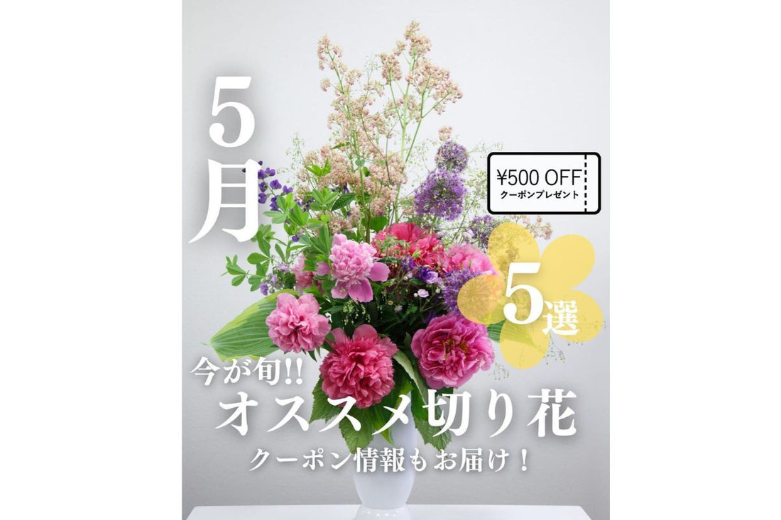 5月オススメの切り花5選