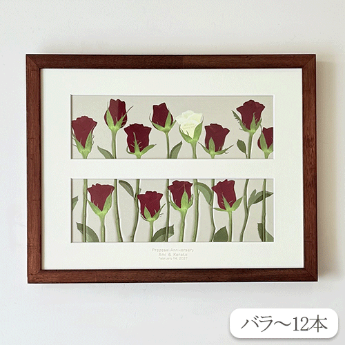 生花の押し花【ダブランチ】 Large　ダブランチ