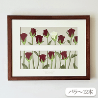 生花の押し花【ダブランチ】 Large　ダブランチ