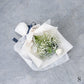 想いを伝える生花かすみ草花束 花びらメッセージ 選べるカラー_ホワイト_S