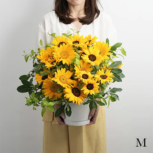 5月から8月限定 生花ひまわりのフラワーアレンジメント 花びらメッセージ