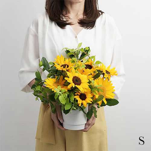 5月から8月限定 生花ひまわりのフラワーアレンジメント 花びらメッセージ