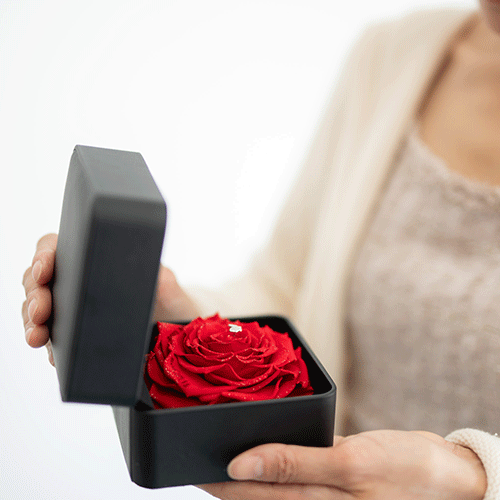 ダイヤモンド プロポーズフラワーBOX (婚約指輪リメイクサービス付き) 0.3ct　レッド　プロポーズ用